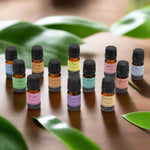 Load image into Gallery viewer, Aromatherapy 12 Essential Oil Set - Autumn Scents
